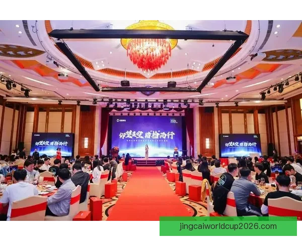 开云娱乐全新体验感受深度解析与使用心得分享